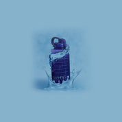 WHYter Bottle - Gallon Jugs